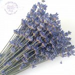 без упаковки,собираем 20 букетов