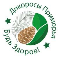 Витамины от Дальневосточных учёных - Помощники здоровью 15