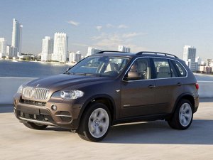 Ковры салонные BMW X5 (E53) (1999 - 2006) левый руль