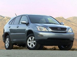 IVITEX Коврик в багажник Lexus RX330 (2003 - 2006)