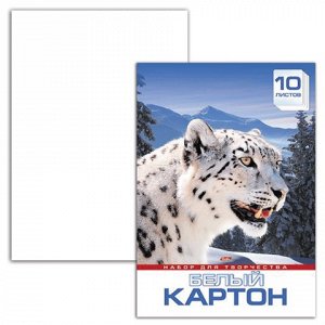 Белый картон А3 МЕЛОВАННЫЙ, 10л., в папке, HATBER, Снежный б