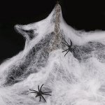 Декоративная паутина с пауком
