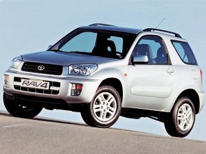 Коврик в багажник Toyota RAV4 3 двери (2000 - 2005)