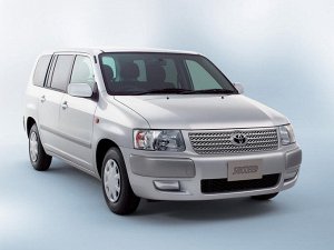 Коврик в багажник Toyota Succeed  (2014 - н.в.)