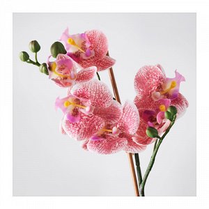 70292298 ФЕЙКА
Искусственное растение в горшке, Орхидея розовый