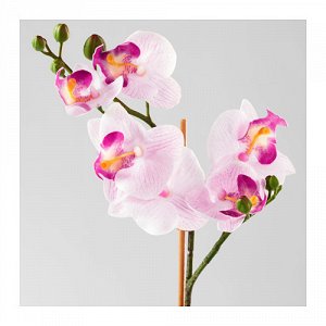 10292300 ФЕЙКА
Искусственное растение в горшке, Орхидея сиреневый