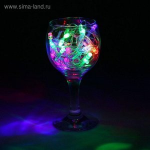 Гирлянда "Метраж" 2.5 м, Н.С. LED-25-220V, моргает, МУЛЬТИ(RG/RB) 1080342