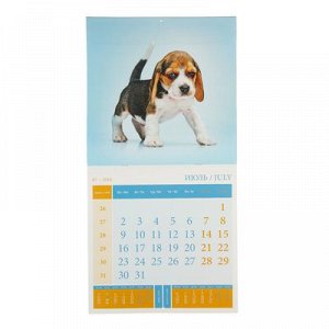 Календарь на скрепке "Веселые собачки - 2018 год" 30х30см