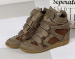 Маранты зеленые