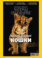 печатное издание