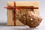 Фигурка шоколадная Ракушеп