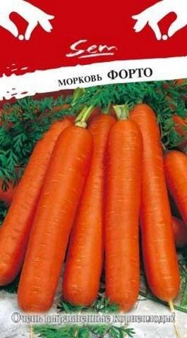 Морковь Форто (2г)