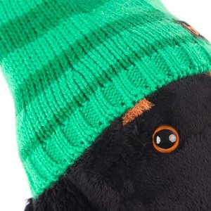 Ваксон в зеленой шапке и шарфе