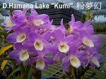 D.Hamana Lake &quot;Kumi&quot;