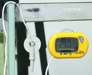Термометр внешний цифровой для аквариума WDJ-004 цвет ЖЁЛТЫЙ