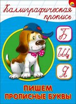 978-5-378-26406-3 КАЛЛИГРАФИЧЕСКАЯ ПРОПИСЬ А5. ПИШЕМ ПРОПИСНЫЕ БУКВЫ