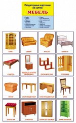 Дем. картинки СУПЕР Мебель. 16 раздаточных карточек с текстом (учебно-методическое пособие с комплектом демонстрационного материала 63х87 мм)