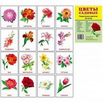 Дем. картинки СУПЕР Цветы садовые. 16 раздаточных карточек с текстом (учебно-методическое пособие с комплектом демонстрационного материала 63х87 мм)