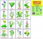 Дем. картинки СУПЕР Цветы полевые. 16 раздаточных карточек с текстом (учебно-методическое пособие с комплектом демонстрационного материала 63х87 мм)