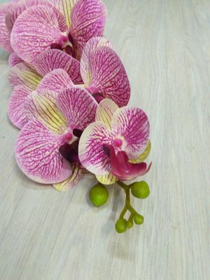 Орхидея фаленопсис (9 цветков).Искусственный цветок.