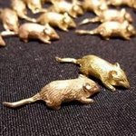Мышка кошельковая к деньгам