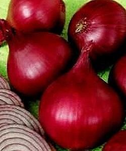 Лук-Севок Кармен | Лук севок фасовка 450 грамм. Лук-севок и чеснок