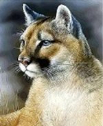 Картина для раскрашивания