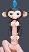 Baby Monkeys