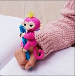 Baby Monkeys