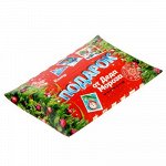 Коробка сборная фигурная &quot;Подарок от Деда Мороза&quot;, 11 х 8 см   1383868
