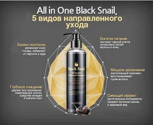 Secret Key Лечебный шампунь с экстрактом черной улитки Black Snail All in One Treatment Shampoo