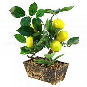 - 70972 - Декоративное дерево "Лимон" h28см в горшке 15,5х9см h7см (Китай). 