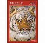 Пазлы 500  Тигр в снегу