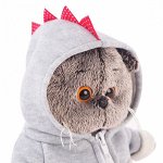 Трогательный Кот Басик в толстовке дракончик