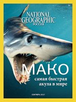 ПОЗНАВАТЕЛЬНЫЕ