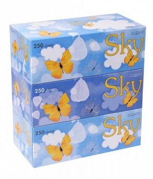 "Sky" Двухслойные салфетки с ароматом ментола (Арт.: YR200) 250шт 3 пачки/упак