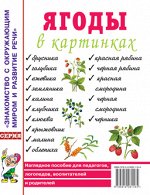 Ягоды в картинках. Наглядное пособие для педагогов, воспитателей, логопедов, родителей. А4