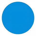 Краситель сухой жирорастворимый Синий 10 г