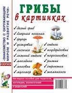 Грибы в картинках. Наглядное пособие для воспитателей, логопедов, педагогов, родителей. А4