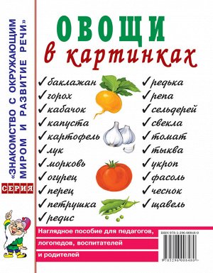 Овощи в картинках. Наглядное пособие для педагогов, логопедов, воспитателей, родителей. А4