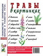 Травы в картинках. Наглядное пособие для логопедов, педагогов, воспитателей и родителей. А4