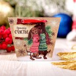 Аромасаше в сумочке &quot;Приношу счастье в ваш дом&quot;, хвоя
