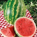 Семена АРБУЗЫ И ДЫНИ