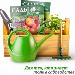 Семена Сады России-15