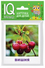 Ходюшина Н.П. Умный малыш. Что растёт в саду? Набор карточек для детей.