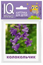 978-5-8112-6507-7 Умный малыш. Что растёт на клумбе? Набор карточек для детей.