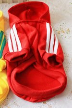 Толстовка для собак с капюшоном цвет КРАСНЫЙ