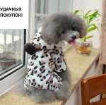 Комбинезон с капюшоном для собак цвет ЛЕОПАРД