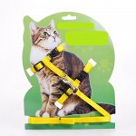 Шлейка для котов цвет ЖЕЛТЫЙ