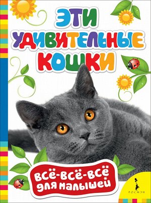 Росмэн ВВВМ Эти удивительные кошки арт.28044
